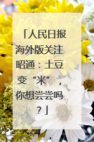 人民日报海外版关注昭通：土豆变“米”，你想尝尝吗？