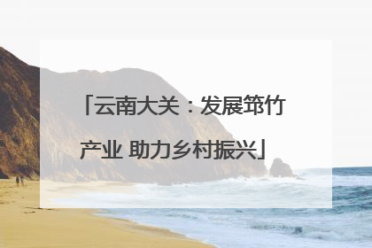 云南大关：发展筇竹产业 助力乡村振兴