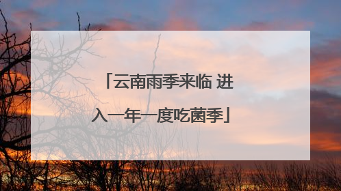 云南雨季来临 进入一年一度吃菌季