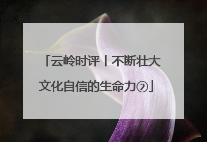 云岭时评丨不断壮大文化自信的生命力②