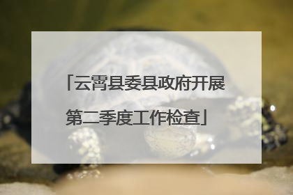 云霄县委县政府开展第二季度工作检查