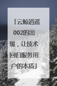 云鲸逍遥002的出现，让技术回归服务用户的本质
