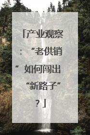产业观察：“老供销”如何闯出“新路子”？