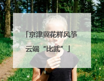 京津冀花样风筝云端“比武”