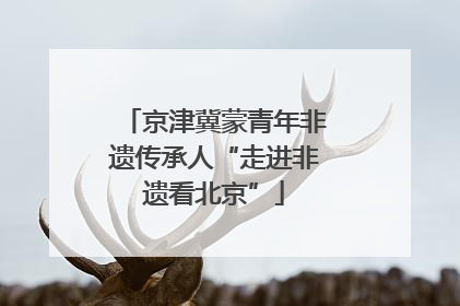 京津冀蒙青年非遗传承人“走进非遗看北京”