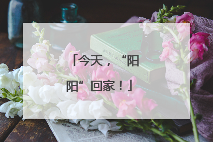 今天，“阳阳”回家！