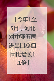 今年1至5月，河北对中亚五国进出口总值同比增长1.1倍