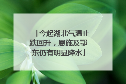 今起湖北气温止跌回升，恩施及鄂东仍有明显降水