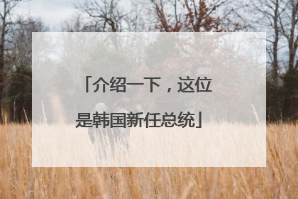 介绍一下，这位是韩国新任总统