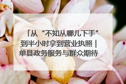 从“不知从哪儿下手”到半小时拿到营业执照｜单县政务服务与群众期待的“双向奔赴”