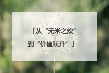 从“无米之炊”到“价值跃升”