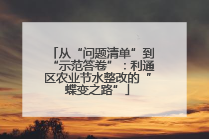 从“问题清单”到“示范答卷”：利通区农业节水整改的“蝶变之路”