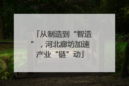 从制造到“智造”，河北廊坊加速产业“链”动