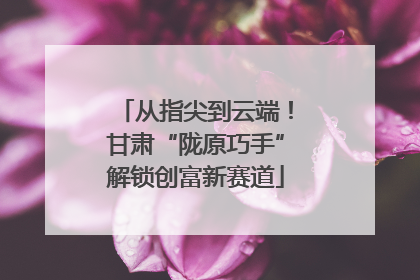 从指尖到云端！甘肃“陇原巧手”解锁创富新赛道
