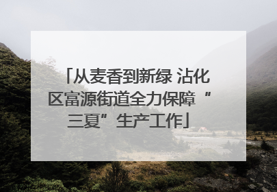 从麦香到新绿 沾化区富源街道全力保障“三夏”生产工作