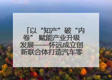 以“知产”破“内卷” 赋能产业升级发展——怀远成立创新联合体打造汽车零部件产业新高地