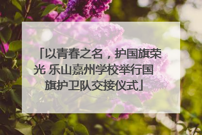 以青春之名，护国旗荣光 乐山嘉州学校举行国旗护卫队交接仪式