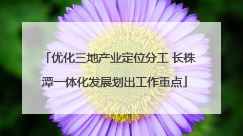 优化三地产业定位分工 长株潭一体化发展划出工作重点