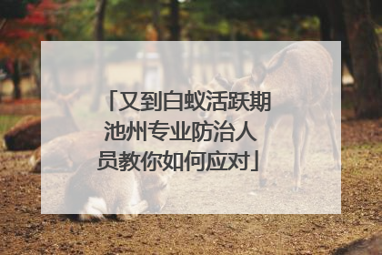 又到白蚁活跃期 池州专业防治人员教你如何应对