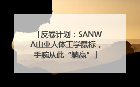 反卷计划：SANWA山业人体工学鼠标，手腕从此“躺赢”