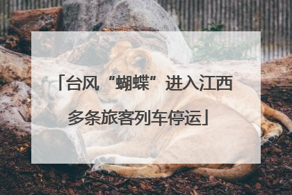 台风“蝴蝶”进入江西 多条旅客列车停运