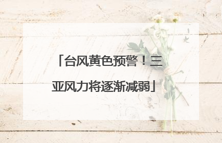 台风黄色预警！三亚风力将逐渐减弱