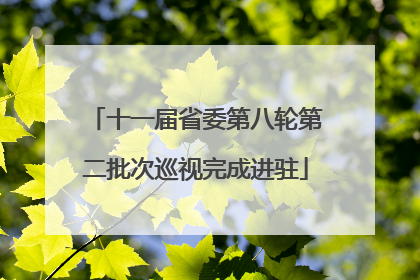 十一届省委第八轮第二批次巡视完成进驻
