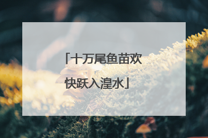 十万尾鱼苗欢快跃入湟水