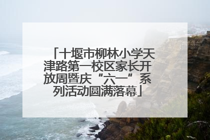 十堰市柳林小学天津路第一校区家长开放周暨庆“六一”系列活动圆满落幕