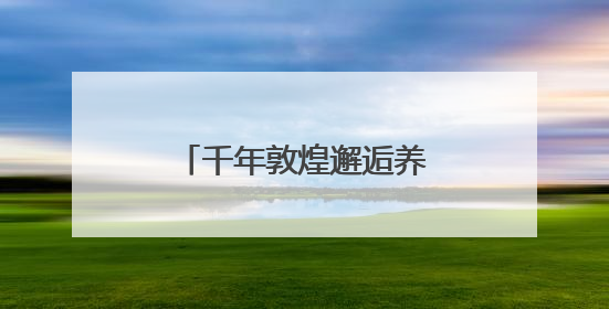 千年敦煌邂逅养固健，注解「新平衡•东方美」