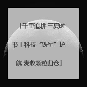 千里追耕·三夏时节丨科技“铁军”护航 麦收颗粒归仓