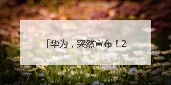 华为，突然宣布！2.5小时超4万人预约，搭载原生鸿蒙，Pura 80外观曝光