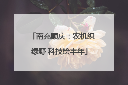 南充顺庆：农机织绿野 科技绘丰年