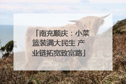 南充顺庆：小菜篮装满大民生 产业链拓宽致富路