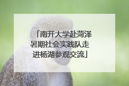 南开大学赴菏泽暑期社会实践队走进杨湖参观交流