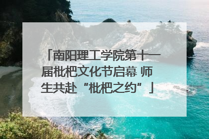 南阳理工学院第十一届枇杷文化节启幕 师生共赴“枇杷之约”