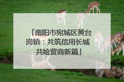 南阳市宛城区黄台岗镇：共筑信用长城 共绘营商新篇