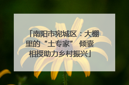南阳市宛城区：大棚里的“土专家” 倾囊相授助力乡村振兴