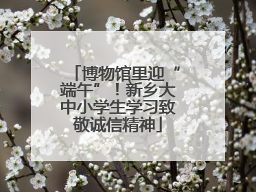 博物馆里迎“端午”！新乡大中小学生学习致敬诚信精神