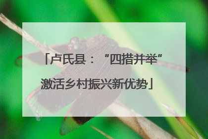 卢氏县：“四措并举”激活乡村振兴新优势