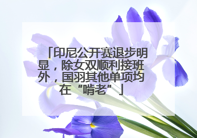 印尼公开赛退步明显，除女双顺利接班外，国羽其他单项均在“啃老”
