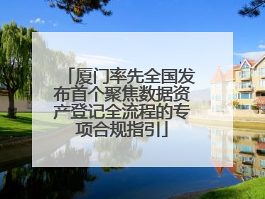 厦门率先全国发布首个聚焦数据资产登记全流程的专项合规指引