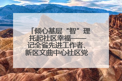 倾心基层“智”理 托起社区幸福——记全省先进工作者、新区文曲中心社区党委书记董世弘