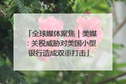 全球媒体聚焦｜美媒：关税威胁对美国小型银行造成双重打击