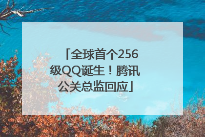 全球首个256级QQ诞生！腾讯公关总监回应
