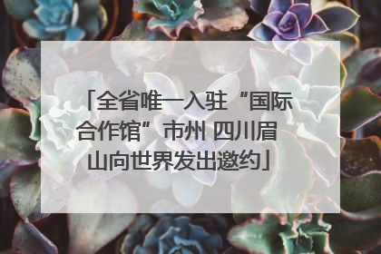 全省唯一入驻“国际合作馆”市州 四川眉山向世界发出邀约