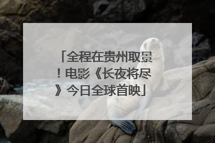 全程在贵州取景！电影《长夜将尽》今日全球首映