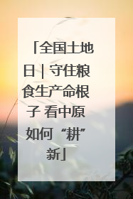 全国土地日｜守住粮食生产命根子 看中原如何“耕”新