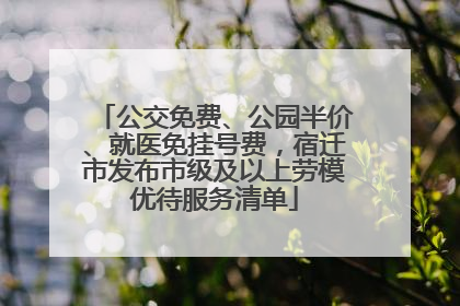 公交免费、公园半价、就医免挂号费，宿迁市发布市级及以上劳模优待服务清单