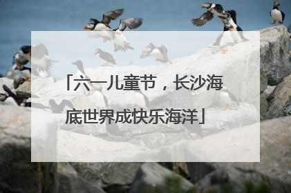 六一儿童节，长沙海底世界成快乐海洋